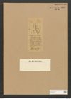 Diatomeae indet. (de-Toni-Nr.: Species 1289 ?) Zeichnungen Sammlung Grunow Nr. 2467 (NHMW-BOT-W0369640)
